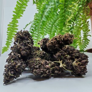 Fleur CBD Orange Fritter, Bio outdoor — vue d'ensemble des têtes