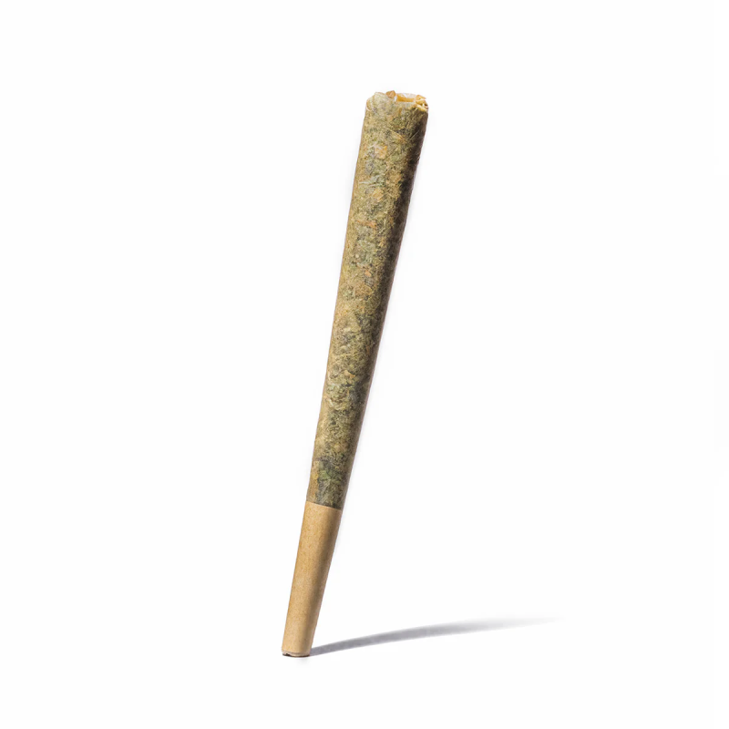 Preroll LVV Jungle Cake Magic Sauce – Néo cannabinoïdes