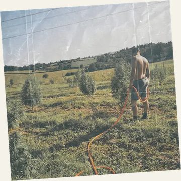 Absence d’irrigation