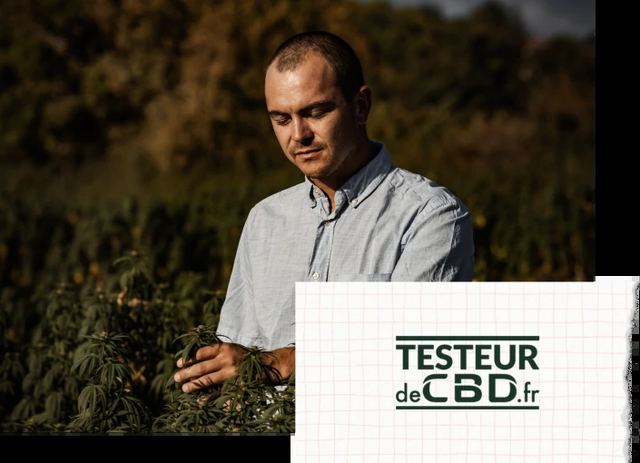 Thomas dans ses rangs, photographié par Testeur de CBD