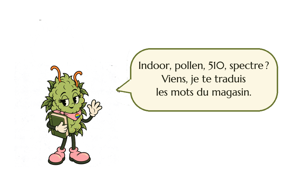 Miss Bud présente le lexique : indoor, pollen, 510, spectre, viens, je te traduis les mots du magasin