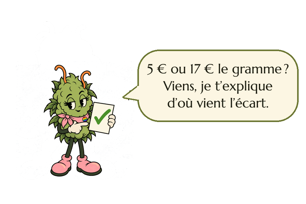 Miss Bud présente un document coché : 5 ou 17 euros le gramme, d’où vient l’écart