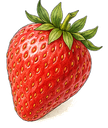 fruité