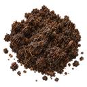 Terre